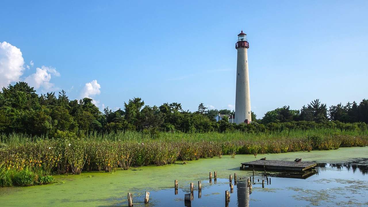 A white lighthouse with a red top with greenery and a pond in front of it