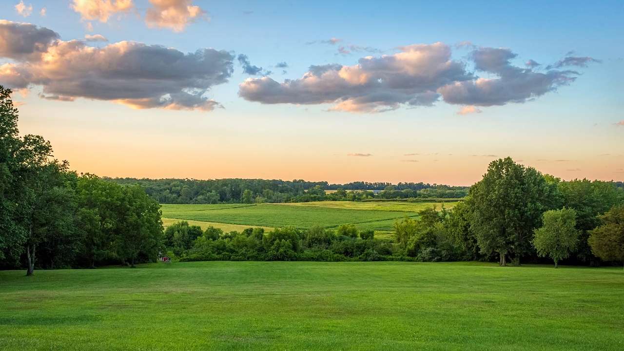 A green field with green trees around it under an orange sky at sunset