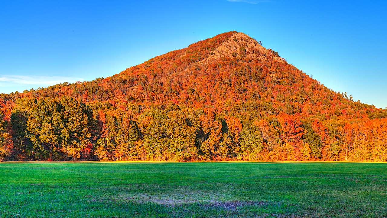 A grassy field at the foot of a mountain in autumn colors against a clear sky