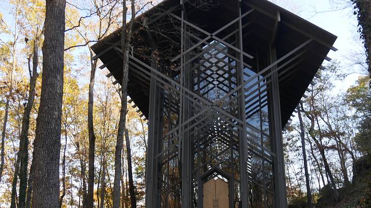 A structure made of wood and glass in the middle of a forest bordered by trees
