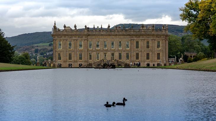 A lake with some ducks in front of a stunning big building on a cloudy day