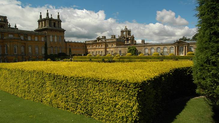 A large castle with a lush garden containing yellow hedges in front