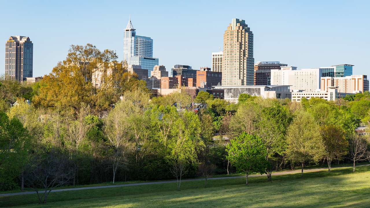 A grassy area next to green trees and a city skyline under a blue sky