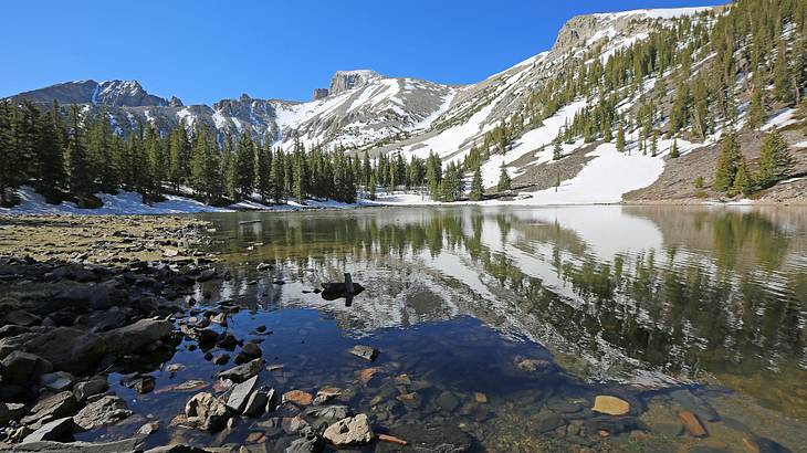 Snowy mountains and tall trees' reflections on water against a clear blue sky