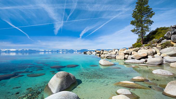 Gray rocks on turquoise water with a tree on the right and mountains at the back