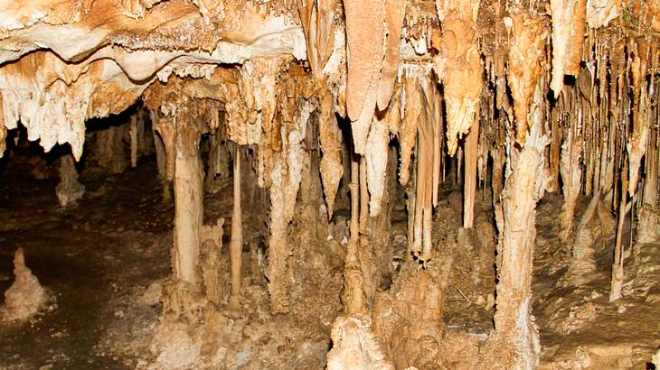 Up-close shot of natural stalactites and stalagmites in a cave