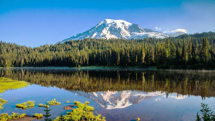 A snowcapped mountain and forest trees, with its reflection in the nearby lake