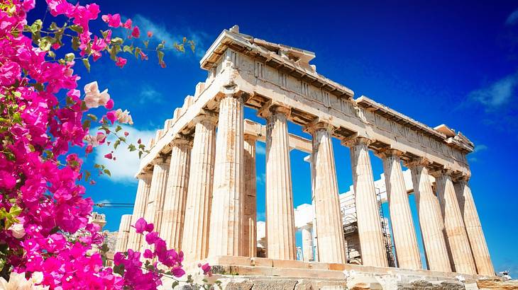 A stunning temple with many columns and pink and white flowers on the left