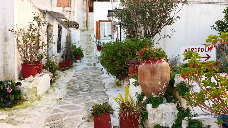 A small street passing through white houses with flower vases in the foreground