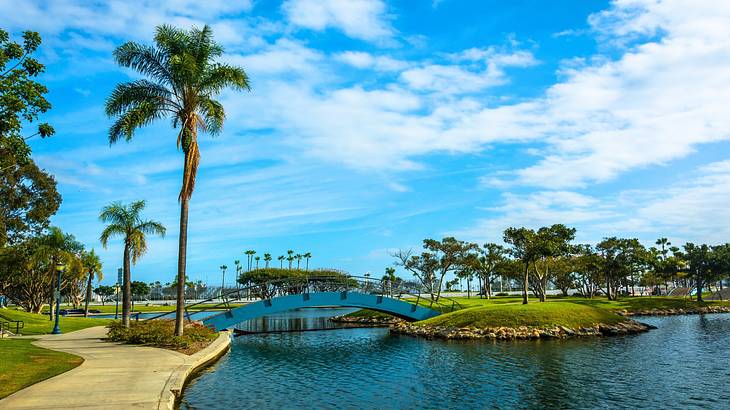 A body of water near a small bridge, palm trees, and a concrete walkway