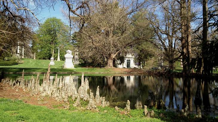 A pond with grass and trees around it and white gravestones in the background