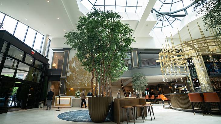 A hotel lobby with a large tree at the center surrounded by windows