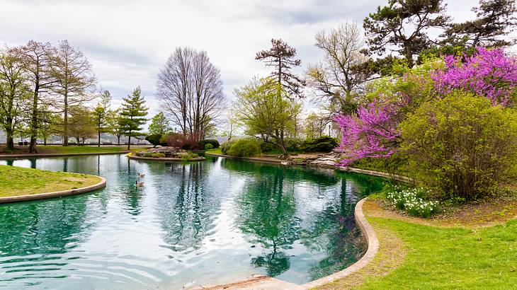 A body of water with colorful trees and grass around it