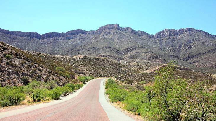 An empty road surrounded by lush plains and rocky mountains on a nice day