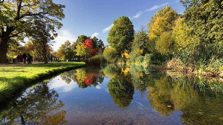 A lake surrounded by lush grass and trees during Fall