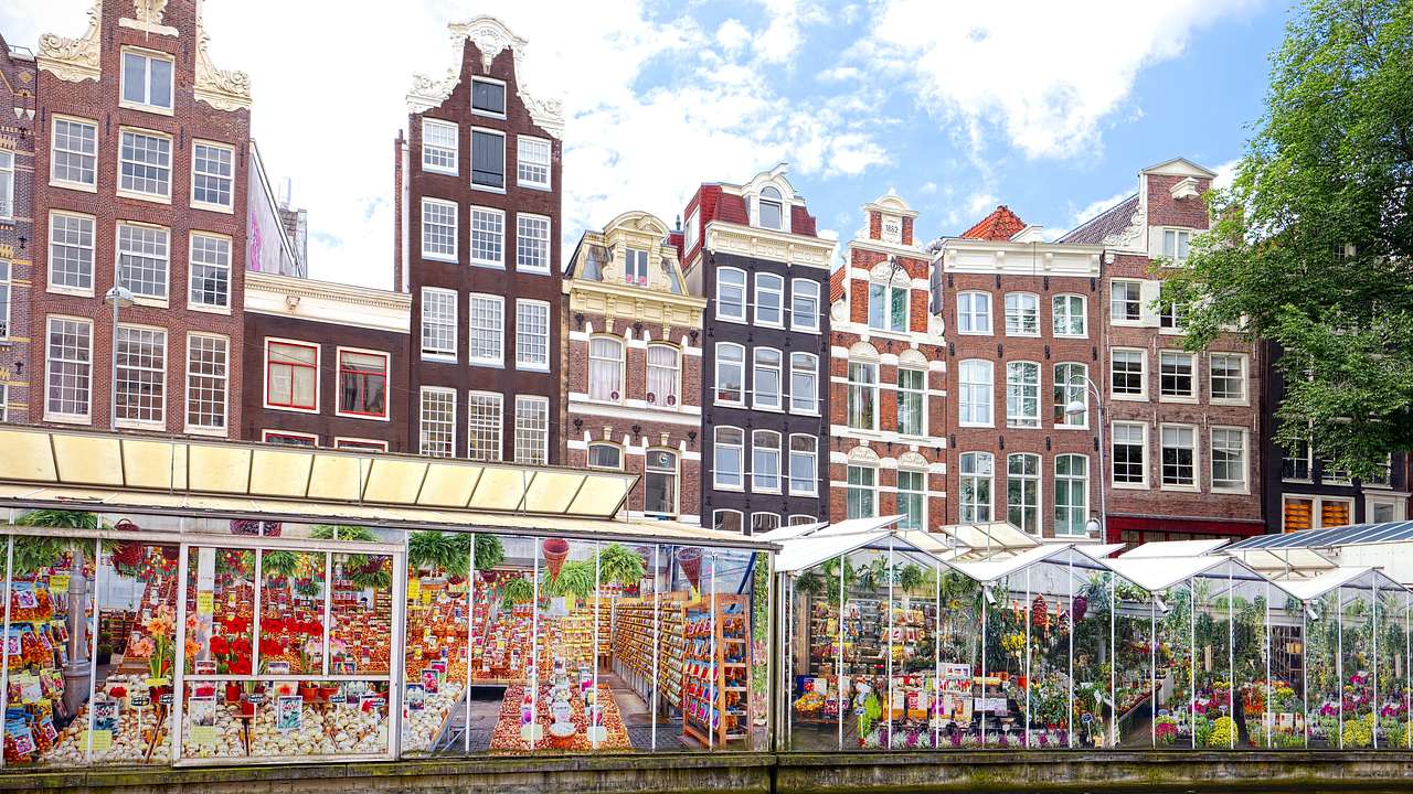 Colorful buildings with adjacent flower greenhouses in front