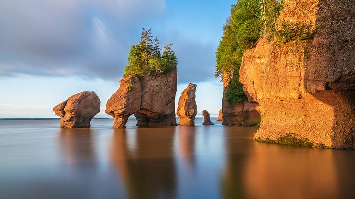 Stunning rock formations with trees on top at sunrise during high tide