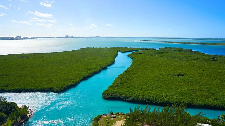 A stream of water surrounded by lush greenery in the middle of a larger body of water