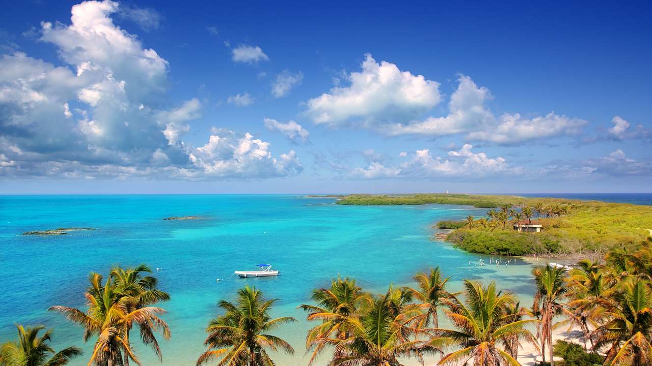 Turquoise ocean surrounded by sand, greenery, and palm trees under a blue sky