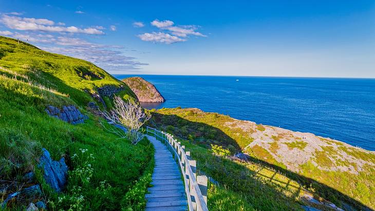 A descending staircase surrounded by green hills and the ocean on a sunny day