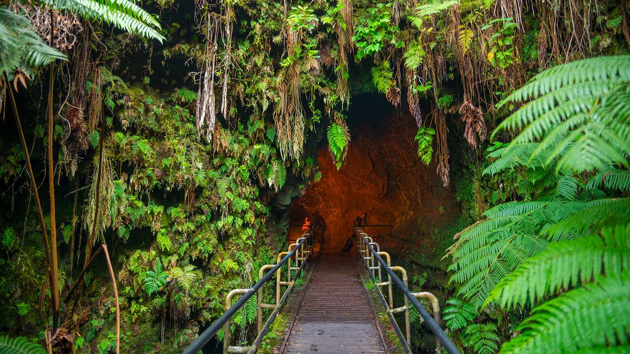 A pathway going to a dark natural tunnel surrounded by greenery formed by molten lava