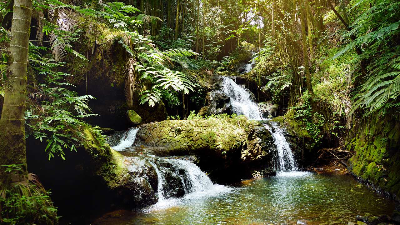 Two thin cascading waterfalls surrounded by lush green tropical vegetation
