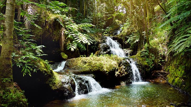 Two thin cascading waterfalls surrounded by lush green tropical vegetation