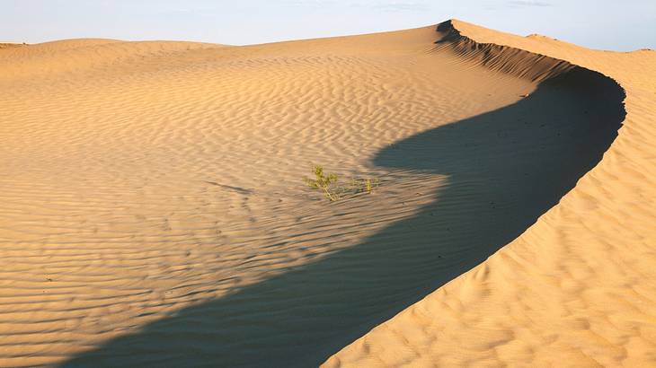A hill of sand stretching endlessly on a sunny day