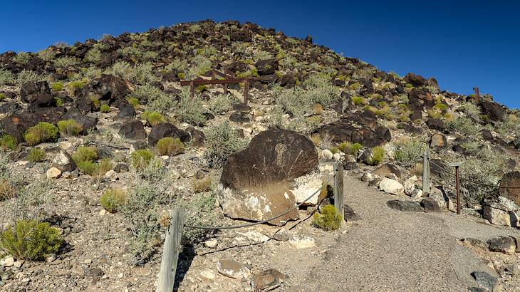 Boca Negra Canyon is one of the Albuquerque landmarks to go to if you love nature