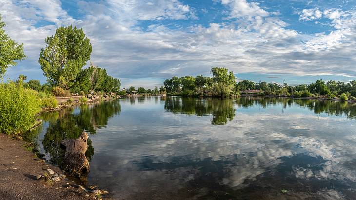 A still body of water surrounded by trees under a blue sky with clouds