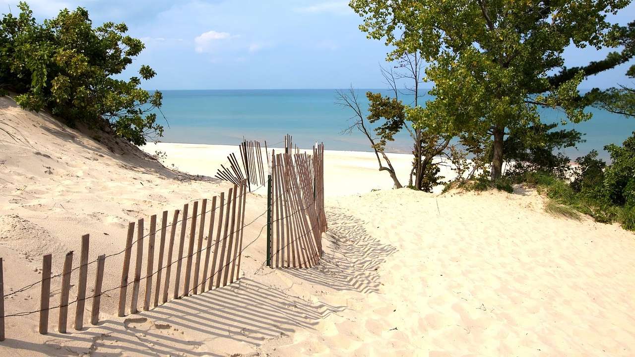White sand with a small fence in the middle surrounded by trees overlooking the water