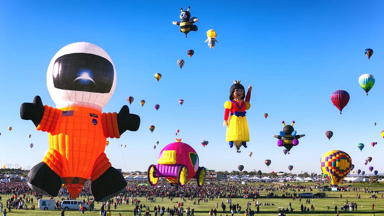 Colorful hot air balloons and hot air balloon sculptures in the sky above the grass