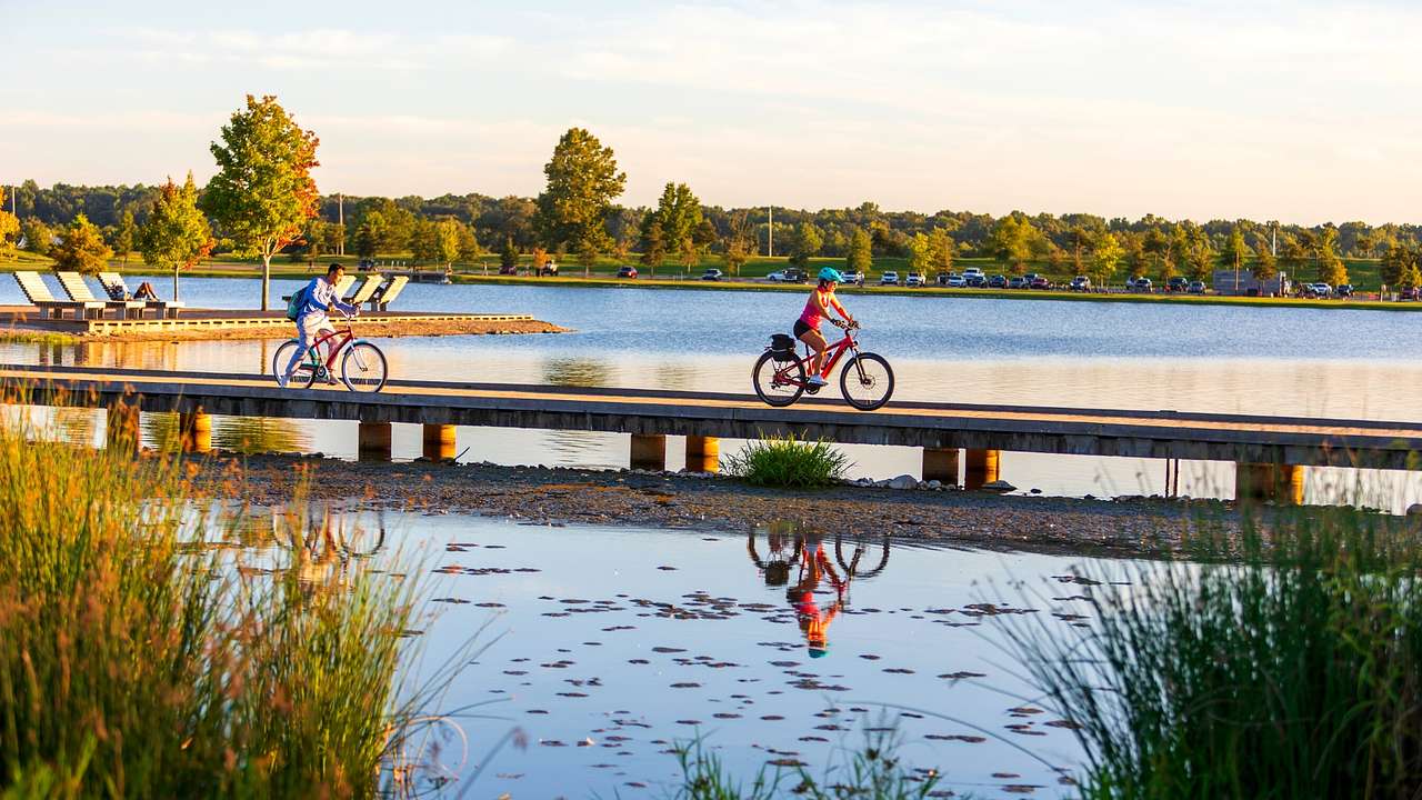 People riding bikes on a boardwalk through a lake with trees on the shore