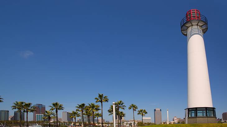 A lighthouse in the middle of a park on a clear sunny day