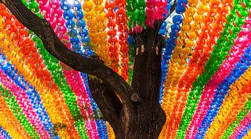 Rows of colourful lanterns around a bare tree trunk from below
