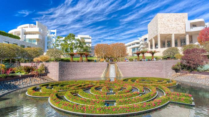 A pond with a maze of greenery and a garden, steps, and modern buildings around it