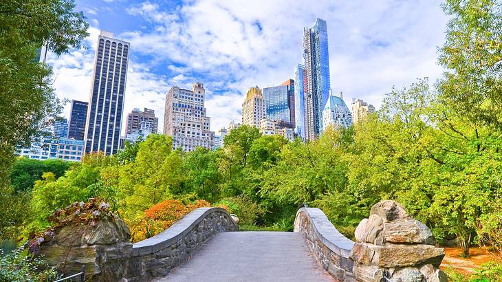 A bridge in a park with green trees around it next to a city skyline