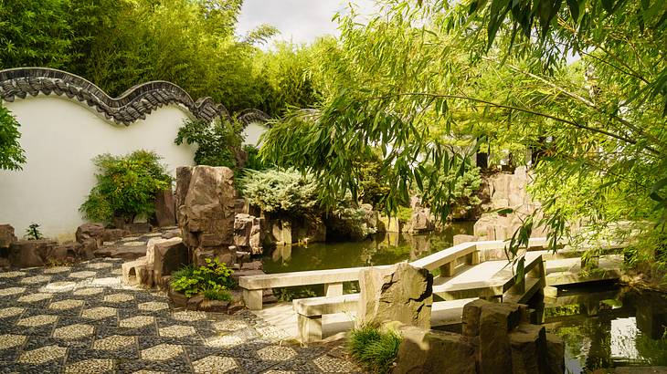 A Chinese garden with a pond and bridge walk, surrounded by green lush foliage