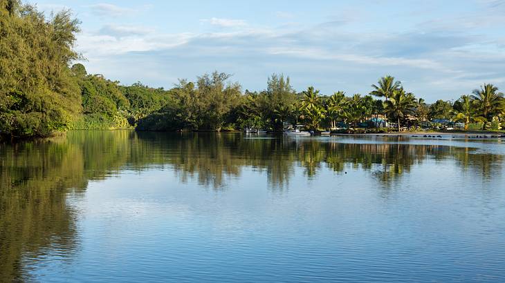 A river with green trees on the river banks