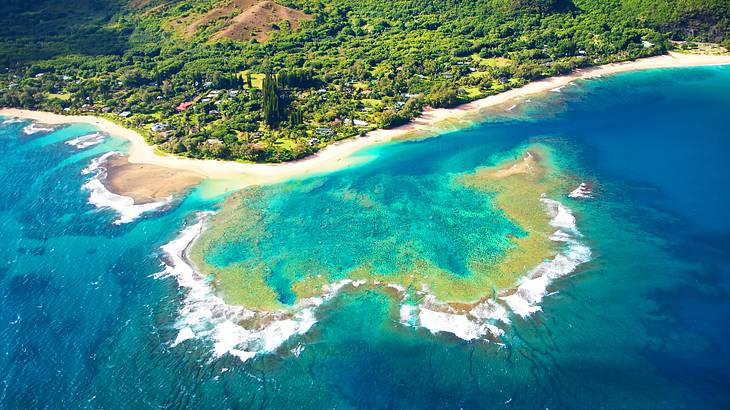 An aerial view of the turquoise ocean, a sandy shore, and green land