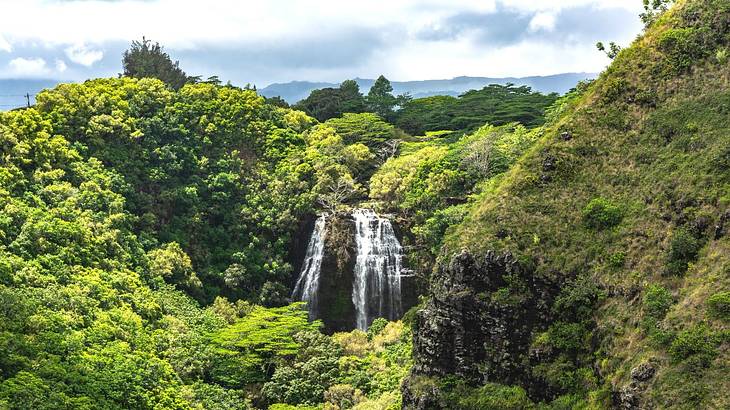 A waterfall surrounded by greenery under a blue sky with clouds