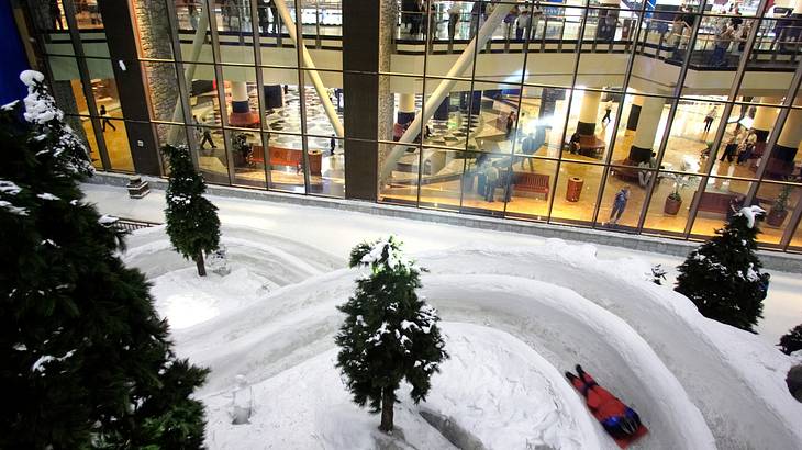 A snowfield with trees and glass walls and a person sliding down from above