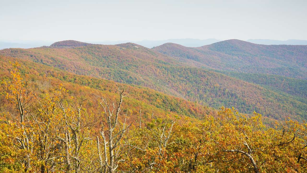 Mountains covered with autumn foliage in shades of green, orange, and yellow