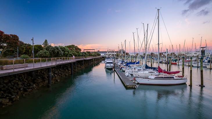 A marina full of boats on water at sunset with a walking path on the left A marina full of boats on water at sunset with a walking path on the left
