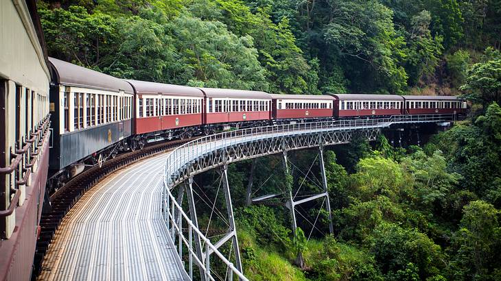 A train going over a silver bridge amongst tropical green trees