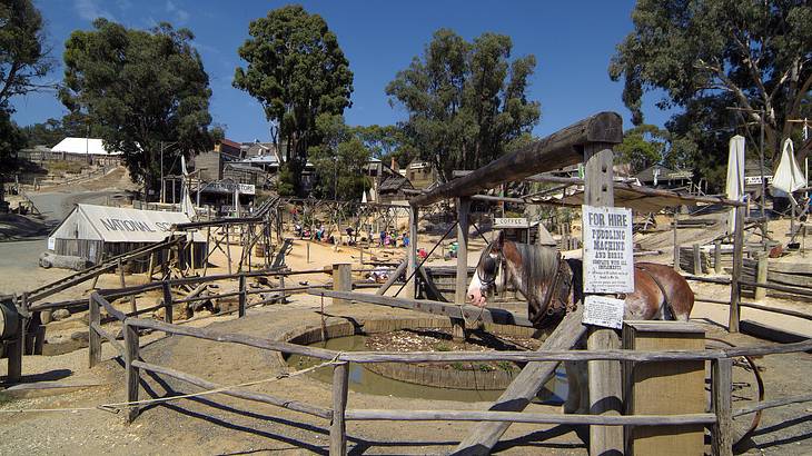 An open-air museum full of wooden structures and a brown and white horse on the right