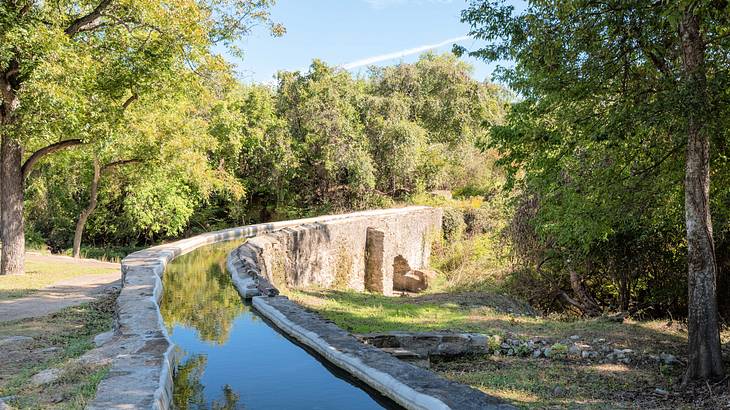An old aqueduct with water surrounded by trees