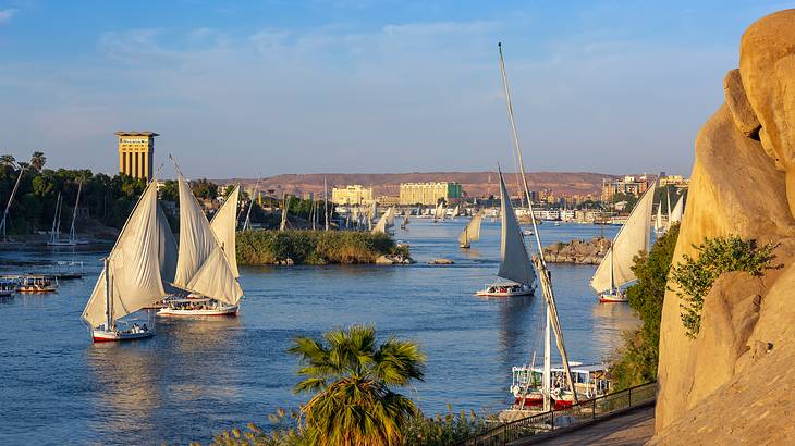 White sailboats cruising along a river with buildings at the back, from behind a rock