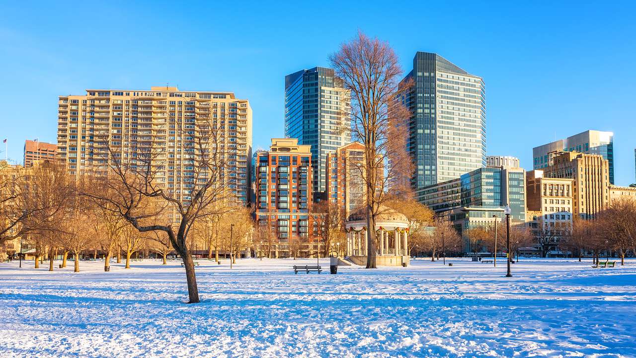Barren trees in a snowy park with modern buildings and blue sky behind