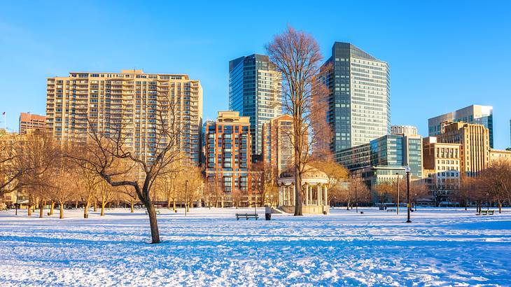 Barren trees in a snowy park with modern buildings and blue sky behind